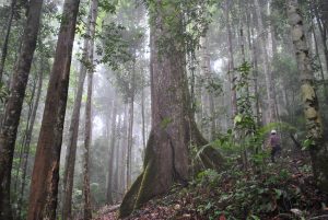 Lee más sobre el artículo Materiales Sostenibles y Ciclo de Vida