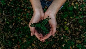 Lee más sobre el artículo Reciclaje de materiales y sostenibilidad ambiental