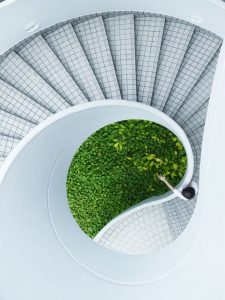 Lee más sobre el artículo Evolución y creatividad en la construcción y la arquitectura