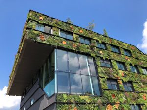 Lee más sobre el artículo Arquitectura  Sostenible Resiliente