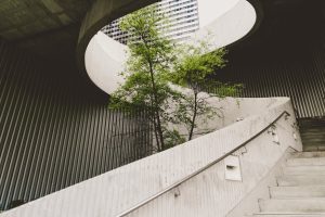 Lee más sobre el artículo Eco-amigable, el enfoque de la construcción actual