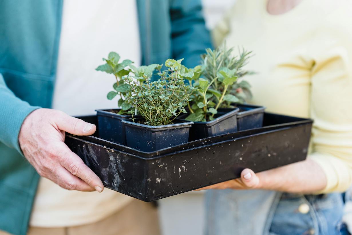 Crea tu jardín en un oasis urbano con materiales sostenibles